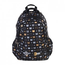 Ghiozdan clasele I-IV, 3 compartimente, Majewski, Gama...