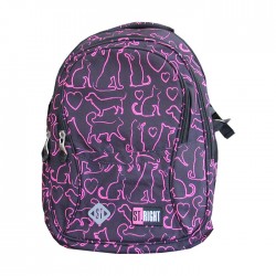 Ghiozdan clasele V-VIII, 4 compartimente, Majewski, Gama...