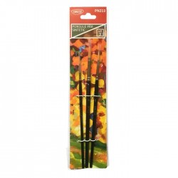 Pensule desen 3/set rotunde Daco PN213