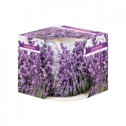 Lumanare parfumata in pahar imprimat Bispol Lavanda,...