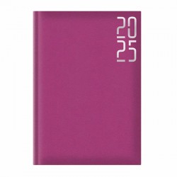 Agenda A5 datata zilnic Arti Best fucsia