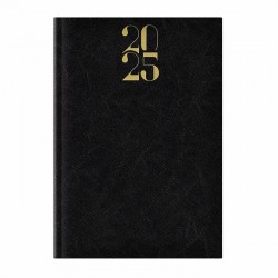 Agenda A5 datata zilnic Arti Lux neagra