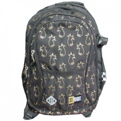 Ghiozdan clasele V-VIII, 4...