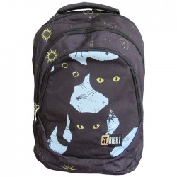 Ghiozdan clasele V-VIII, 4...