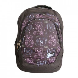 Ghiozdan clasele V-VIII, 4...