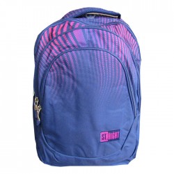 Ghiozdan clasele V-VIII, 4...