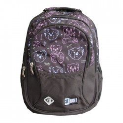 Ghiozdan clasele V-VIII, 4...