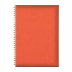 Agenda nedatata B5 Tucson,...